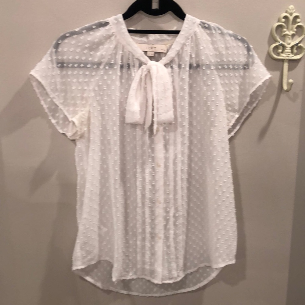 Ann Taylor Loft Sheer Blouse